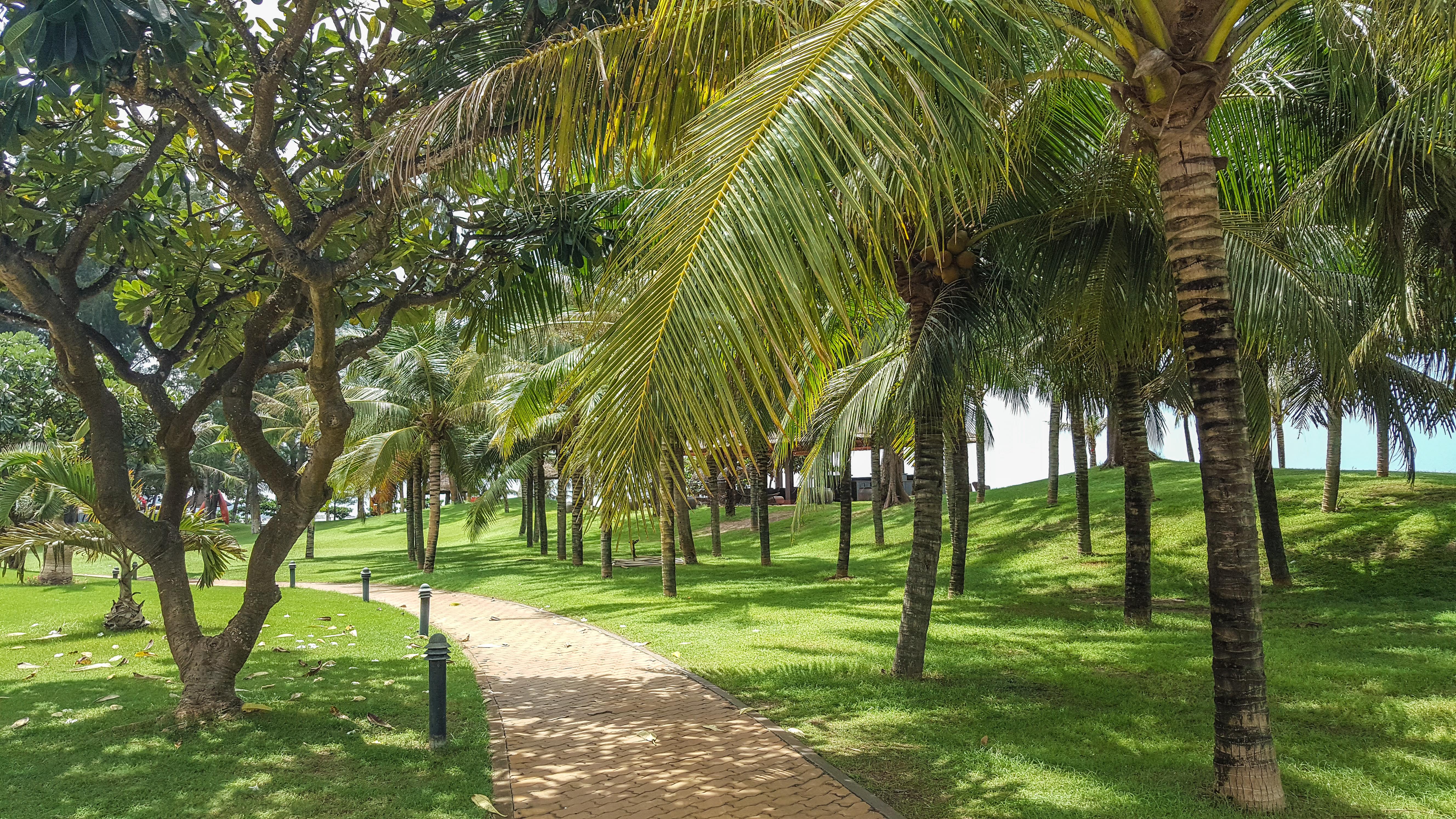 Phan Thiet Ocean Dunes Resort Exterior foto